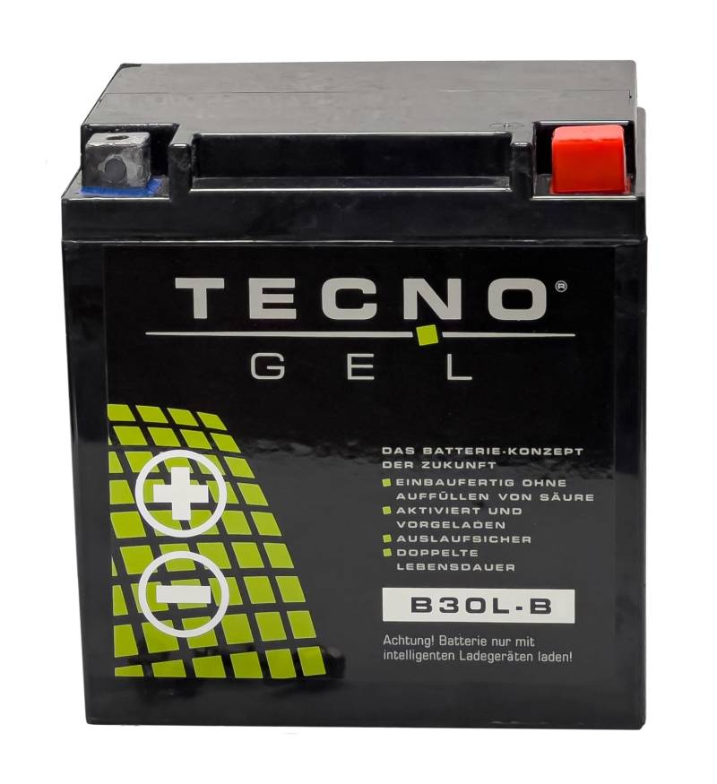 TECNO-GEL Motorrad-Batterie für YB30L-B für Harley Davidson FLHR alle 1340, 1450, 1584, 1690, 1745, 1800, 12V Gel-Batterie 30Ah, 168x132x176 mm von Wirth-Federn