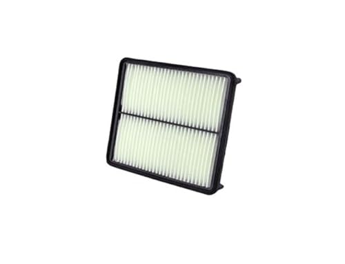 Wix Filters PXA49250 Luftfilter von Wix