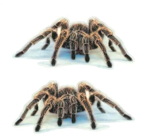 2 STK. Spinne Auto Modell lustig Spider mit Wasserdichten Aufkleber Embleme von XCBW