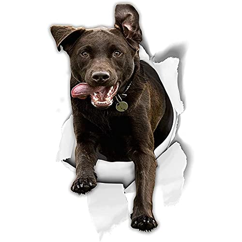 Xlnb. 3D Hundeaufkleber Aufkleber Aufgeregt Schwarze Labrador Aufkleber für Wandkühlschrank WC Auto (Size : 30cm) von XLNB