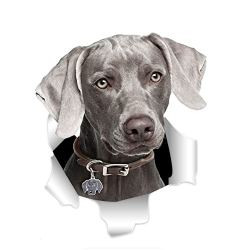 Xlnb. Coole graue Weimaraner Auto Aufkleber zerrissen metalltattooaufkleber wasserdicht 3D Auto Styling Haustier Hund Aufkleber (Size : 15cm) von XLNB