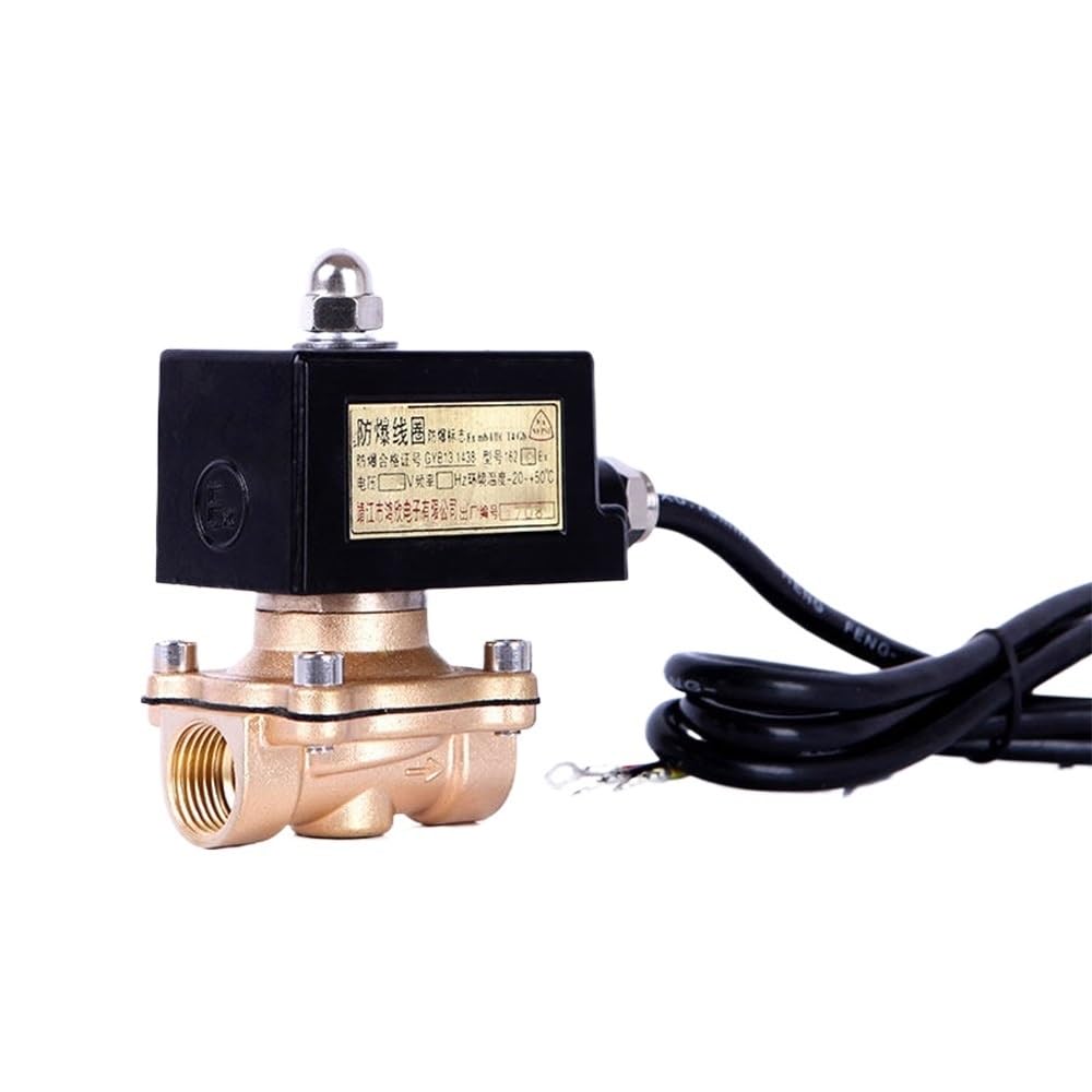 DN40 Brass Lpg Gas Solenoid Valve 1-1/2 24v 12v Explosion Proof N/C(BSP_110VAC) von XTVVTODJXT