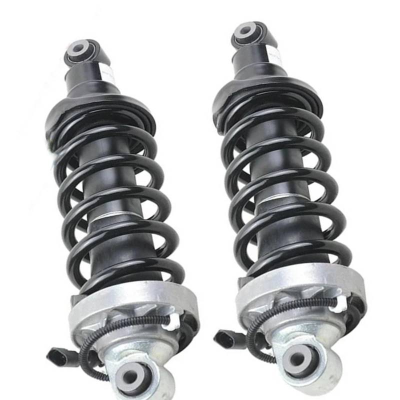 Einteiliger Stoßdämpfer vorne links/rechts, kompatibel mit Audi R8 2007–2015, R8 Spyder 2011–2015, 420412019AH, 420412020AH(FRONT RIGHT) von XXDRKEGS