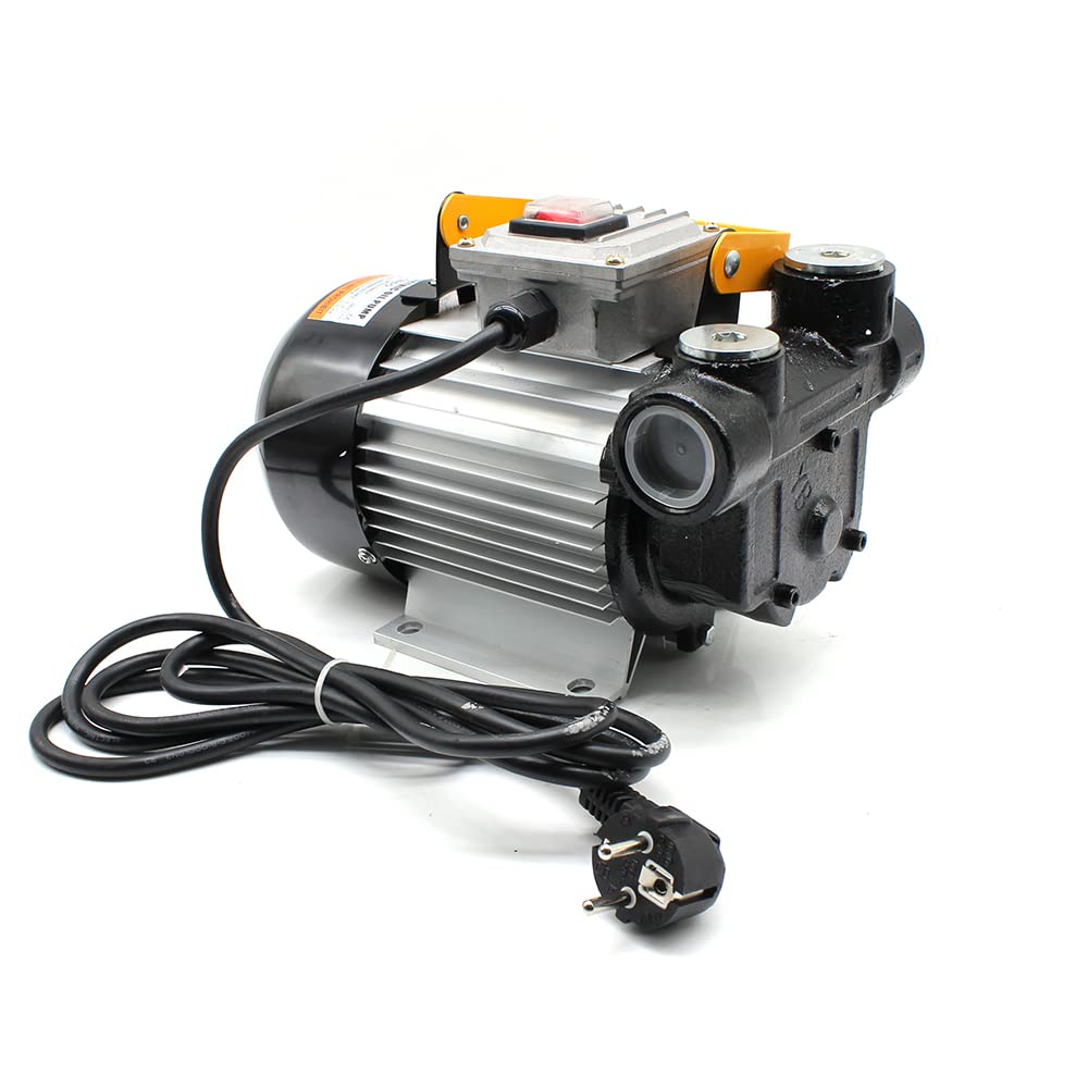 Dieselpumpe,220 V 550 W Selbstansaugende Ölpumpe Ölwechselpumpe,Durchflussmenge 20-60 L/min, 2800 rpm für PKW, Tankwagen,Lastwagen, Fässern von Xingfx