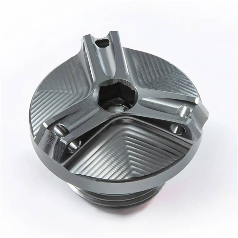 YIJIEBAO Passend for Kawasaki VERSYS650 VERSYS 650 2007-2020 2021 2022 2023 Vorderer Bremsflüssigkeitstankdeckel und Einfülldeckel-Schutzzubehör Zubehör(M2.5 Titanium) von YIJIEBAO