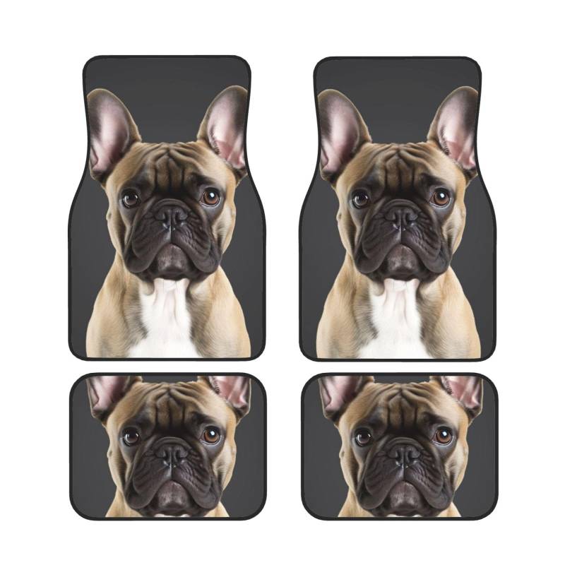 YNCATXZ Französische Bulldogge Druck Auto Fußmatten Set von 4 Stück Universal Auto Vorne Hinten Boden Fußmatten Allwetterschutz Auto Boden Teppiche Full Set Auto Fußpolster von YNCATXZ