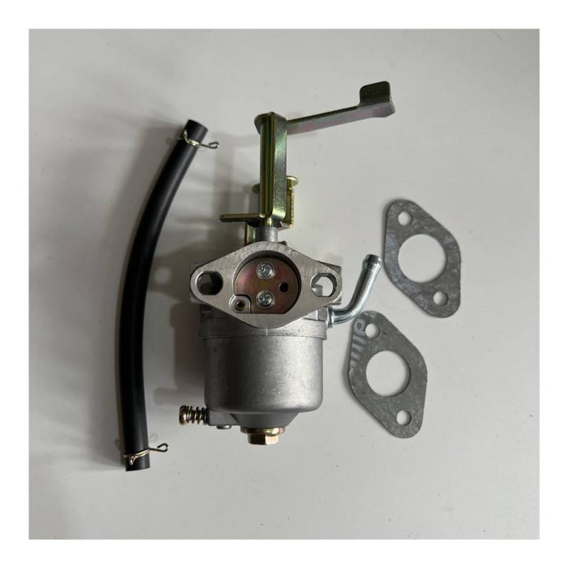 Carb Carburetor With gasket Fit For All Power Steele Gentron EG-LY152-F01 spare parts von YRcEKH