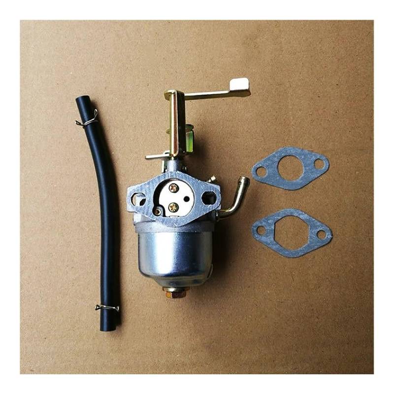 Carb Vergaser Mit Dichtung Kompatibel Mit Yamakoyo YK250 Motor Motor 82CC Benzin Ersatzteile von YRcEKH