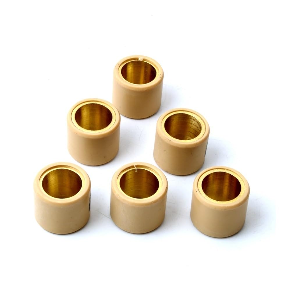 6pc Variator Racing Roller Weights 22gram 25x22mm for TGB Quads Blade 250 2x4 Blade325 Target 325 Zubehör von YhfAbd