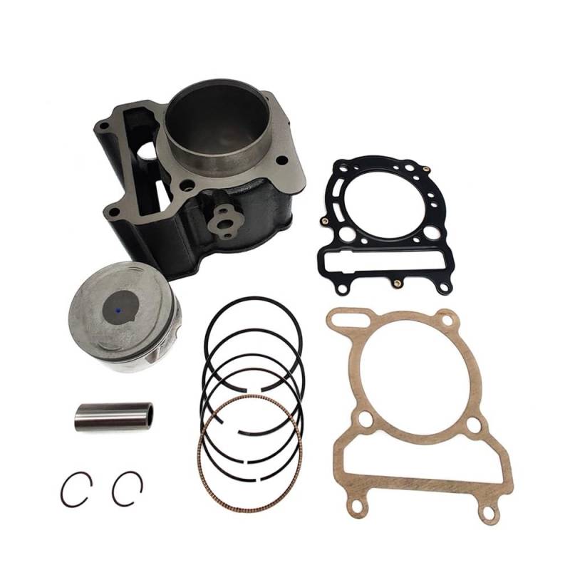 Top End Rebuild Zylinder Kolben Dichtung Kit for Stels ATV 300B Buyang 300 FA-D300 Feishen Chironex 2.1.01.0401 LU018895 Zubehör von YhfAbd