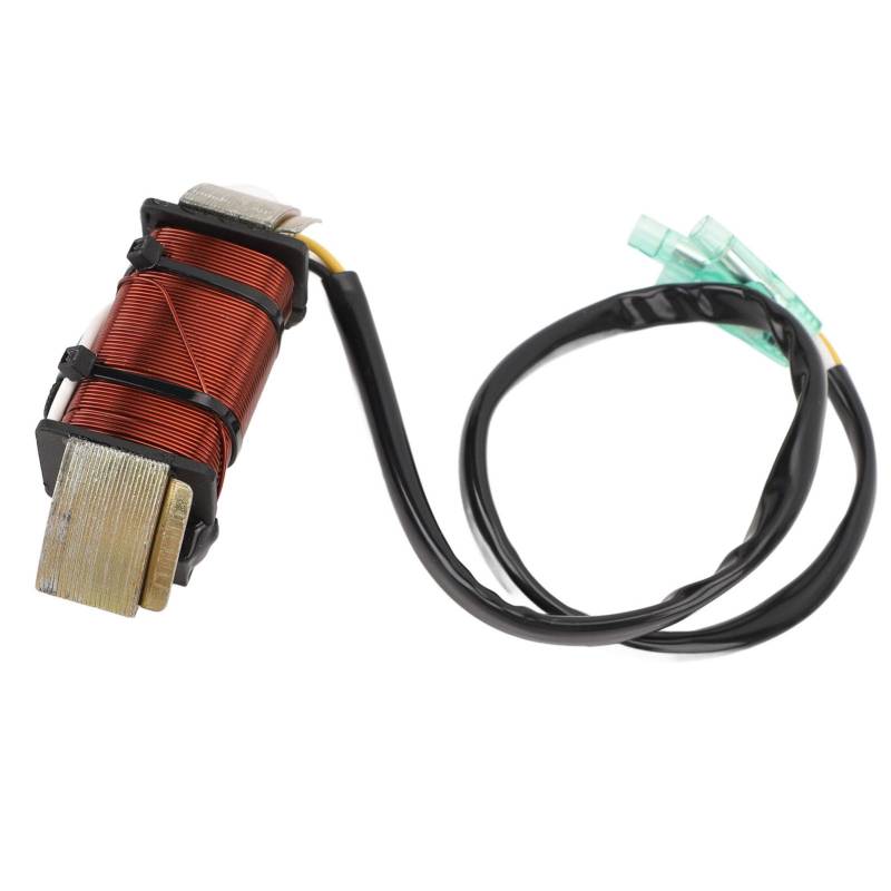 Outboard Motor Lighting Coil for 2 Stroke 18HP 3G2060231 3G2060231M Boat Engine Lighting Coil Assy for 2 Stroke 9.9‑15HP 803703 von Yuezhongoo