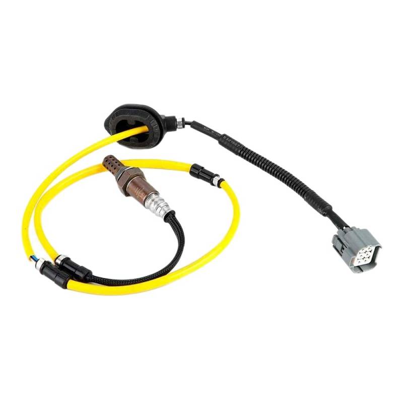 Yurhuit Auto Sauerstoff Sensor für Accord 2.0L CM5 2.4L 2003-2007 36532-RAC-U01 36532-RAC-U02 von Yurhuit