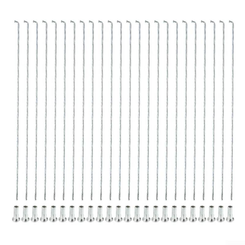 Rostbeständige Stahlspeichen und Nippel, 24-teiliges Set, verschiedene Größen (291 mm) von ZAMETTER