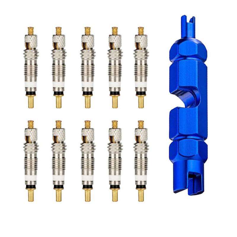 ZCSOWE 10er Set Fahrradventile Ventilkern 1 Adapter Ventilkern-Konverter-Entfernungswerkzeug von ZCSOWE