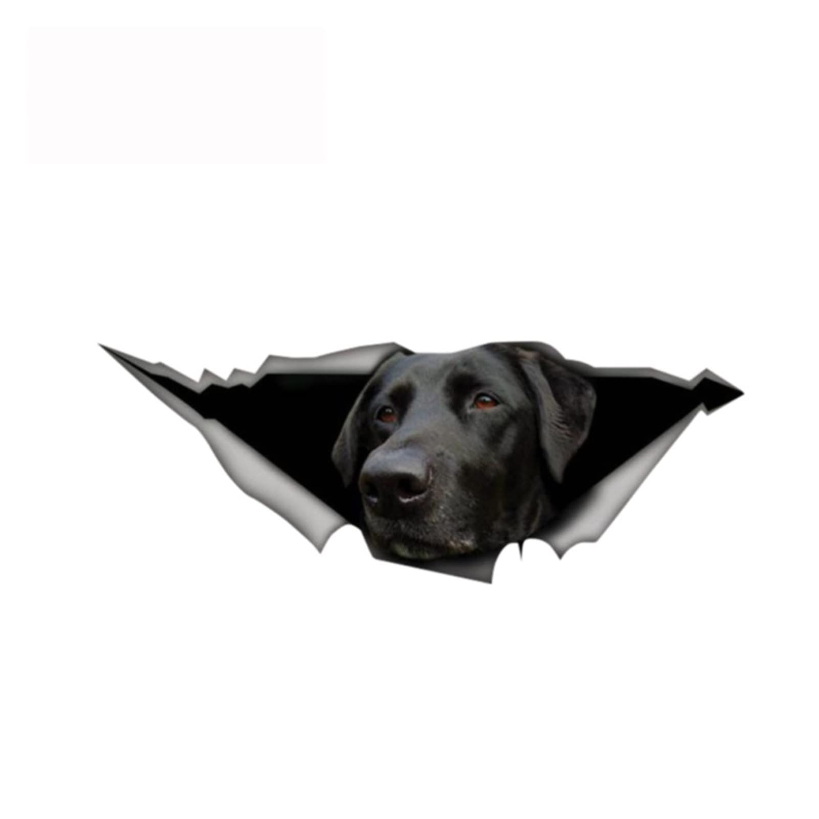 13 cm x 4,8 cm Labrador Retriever Aufkleber Vinyl Aufkleber 3D Haustier Grafik Auto Fenster Laptop Stoßstange Tier Auto Aufkleber von ZHANGANRAN