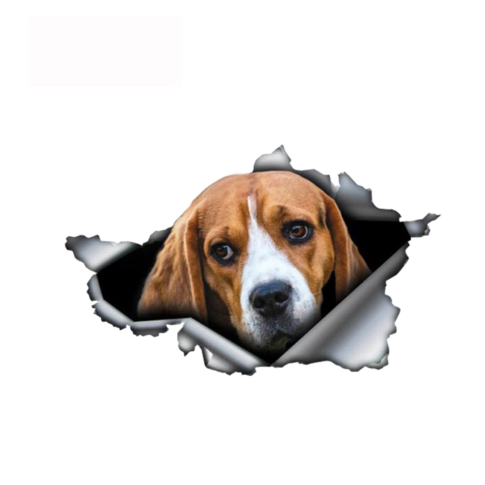 13 cm x 8,8 cm Beagle-Aufkleber, zerrissenes Metall, Stoßstangen-Aufkleber, lustige Autoaufkleber, Fenster, Kofferraum, Tier, 3D-Auto-Styling von ZHANGANRAN