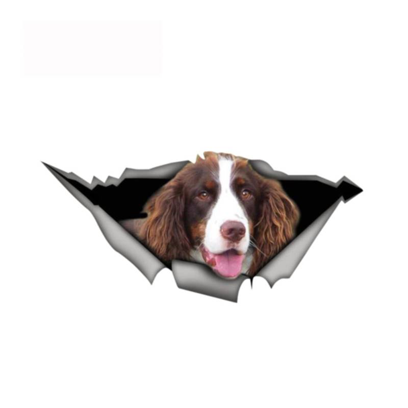 ZHANGWEI 13 cm x 6,2 cm Springer Spaniel-Aufkleber, zerrissenes Metall, Stoßstangen-Aufkleber, lustige Auto-Aufkleber, Fenster, Kofferraum, Tier, 3D-Auto-Styling von ZHAOBAOBAO