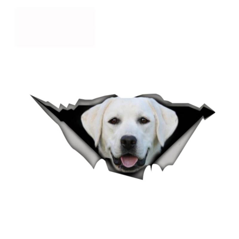 ZHANGWEI 13 cm x 6 cm Aufkleber, weißer Labrador-Aufkleber, zerrissener Metall-Aufkleber, wildes Tier, lustige Auto-Aufkleber, Fenster, Stoßstange, 3D-Auto-Styling von ZHAOBAOBAO