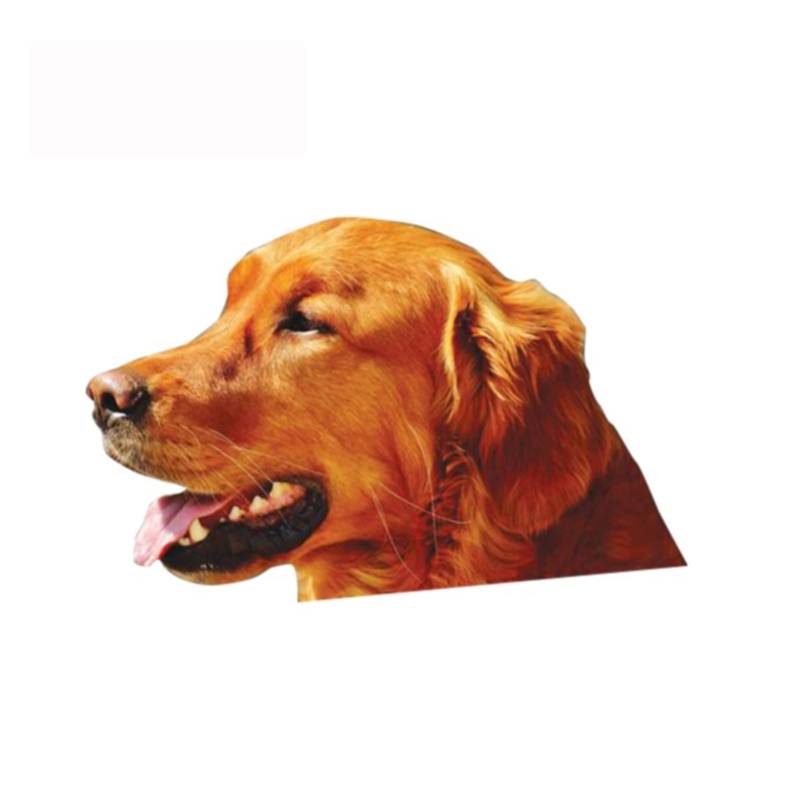 ZHANGWEI 13 cm x 8,3 cm für Golden Retriever Fensteraufkleber, Auto-Aufkleber, Vinyl, Autofolie, Stoßstange, Kofferraum, LKW, Grafiken von ZHAOBAOBAO