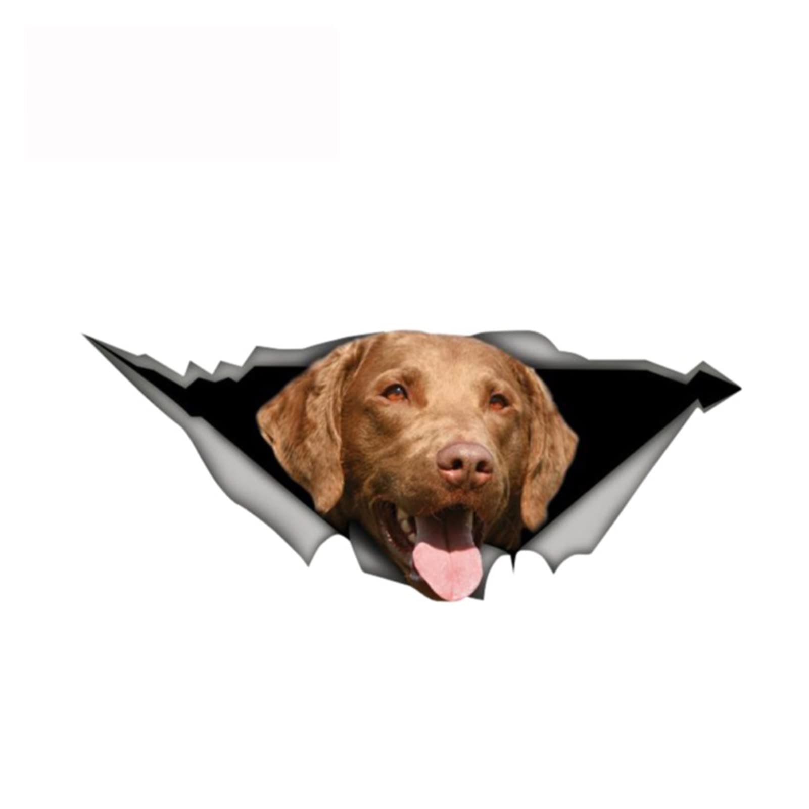 WEI WEI 13 cm x 5,3 cm Chesapeake Bay Retriever Aufkleber zerrissener Metall-Aufkleber Wildtier-Autoaufkleber Fenster Stoßstange 3D-Auto-Styling von ZHAOBAOJIE