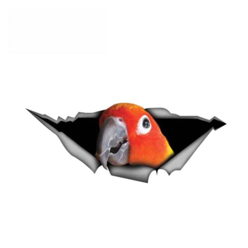 WEI WEI 13 cm x 5 cm Sun Conure Papageien-Aufkleber, zerrissener Metall-Aufkleber, Wildtier, lustige Auto-Aufkleber, Fenster, Stoßstange, 3D-Auto-Styling von ZHAOBAOJIE