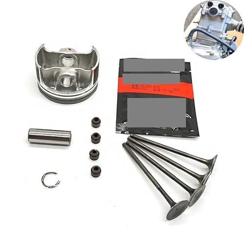 Motorteile Kolbenring Ventil Öldichtung Motorrad ATV Passend for ZON-GSHEN-Motor Racing NC250 ZS177MM 250cc 4 Takt for KA-YO T6 K6 B-SE(Axis) von ZKKJPYYDS