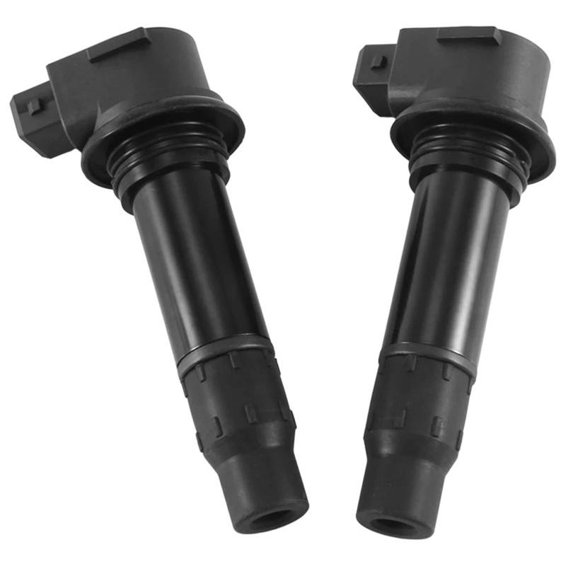 ZWHLYLY [Replacement] 2PCS Zündspule for CFMOTO CF250NK CF250SR CF250-6 CF for Moto 250NK 250SR 250-6 DMO-178000 von ZWHLYLY