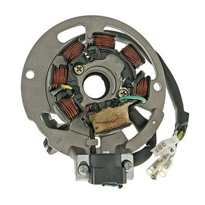 Lichtmaschine Stator für div. Modelle 101 Octane von 101 Octane