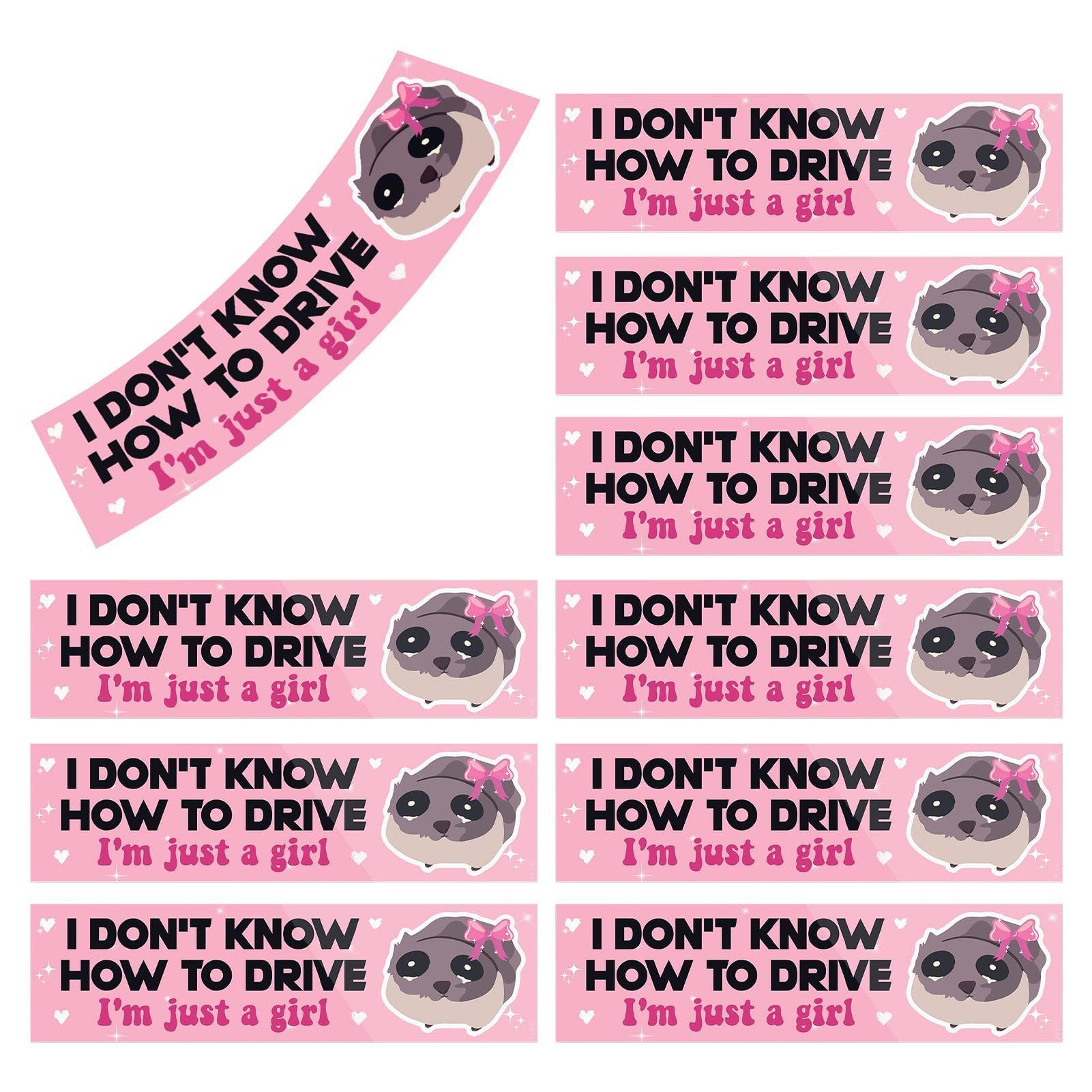 ZIENNHU Autoschild "New Driver", 10 PSC, Studentenfahrer-Aufkleber für Auto, lustiger Hamsterfahrer, abnehmbar und wiederverwendbar, humorvolles trauriges Hamster-Design für Auto-Stoßstange, sichtbare von Ziennhu