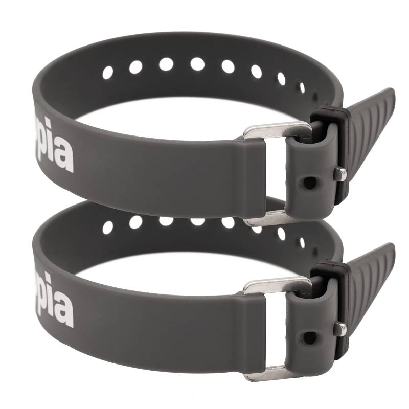 Appia Straps - Spanngurte 35cm Grau (2er Pack) inkl. Strap-Keeper für Fahrrad, Ski, Bikepacking, Camping, Heimwerken aus TPU mit rostfreier Aluminium-Schnalle von appia