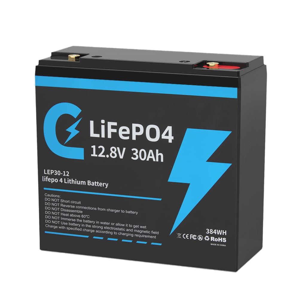 bestyks 30Ah 12V Lithium Batterie,30Ah 12V LiFePO4 Batterie,8000 Zyklen,Batterie 30Ah 12v LiFePO4,mit Smart BMS,Tieftemperaturschutz,für Wohnmobil,Solaranlage,Boot Haushalt,Camping (30Ah) von bestyks