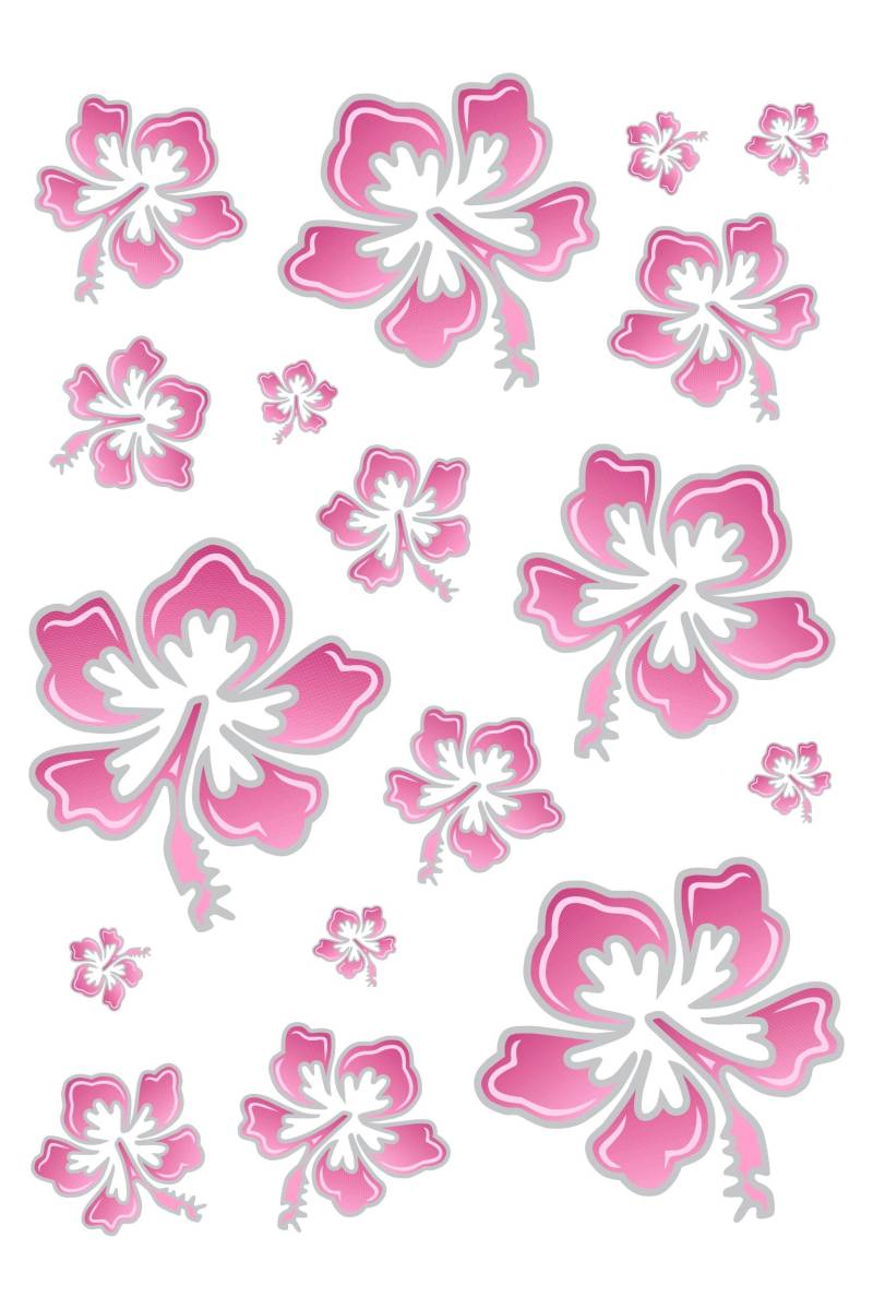 Aufkleber Hibiskusblüten-Set, 300 x 200 mm, rosa/silber ~~~~~ schneller Versand innerhalb 24 Stunden ~~~~~ von carstyling XXL