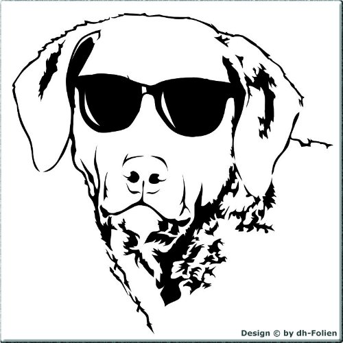 cartattoo4you® AH-00419 | Labrador Kopf mit Sonnenbrille | Autoaufkleber Aufkleber, Farbe schwarz, in 24 Farben erhältlich, 24 x 24 cm, waschstraßenfest, Motiv Copyright by dh-Folien von cartattoo4you