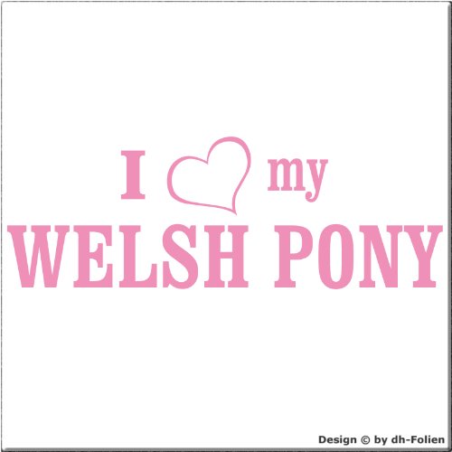 cartattoo4you® AI-02004 | I Love (als Herz) My Welsh Pony | Autoaufkleber Aufkleber Farbe rosa, in 24 Farben erhältlich, glänzend 20 x 7 cm Motiv Copyright by dh-Folien von cartattoo4you