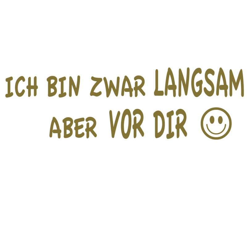 cartattoo4you® AK-00397 | ICH Bin ZWAR LANGSAM Aber VOR DIR Smile | Autoaufkleber Aufkleber, Farbe Gold, in 24 Farben erhältlich, glänzend, 20 x 6 cm, Waschstrassenfest von cartattoo4you