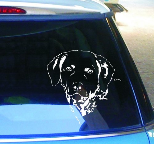 cartattoo4you® AK-00390 | Labrador Kopf | Autoaufkleber Aufkleber Farbe weiß, in 24 Farben erhältlich, glänzend, 24 x 24 cm, Waschstrassenfest von cartattoo4you