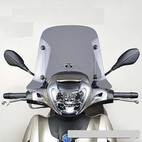 Bionddi Cuolino Rauch, inklusive Anschlüsse für Piaggio BEVERLY 300 HPE 400 S 2021 2022 2023 von e-bikers