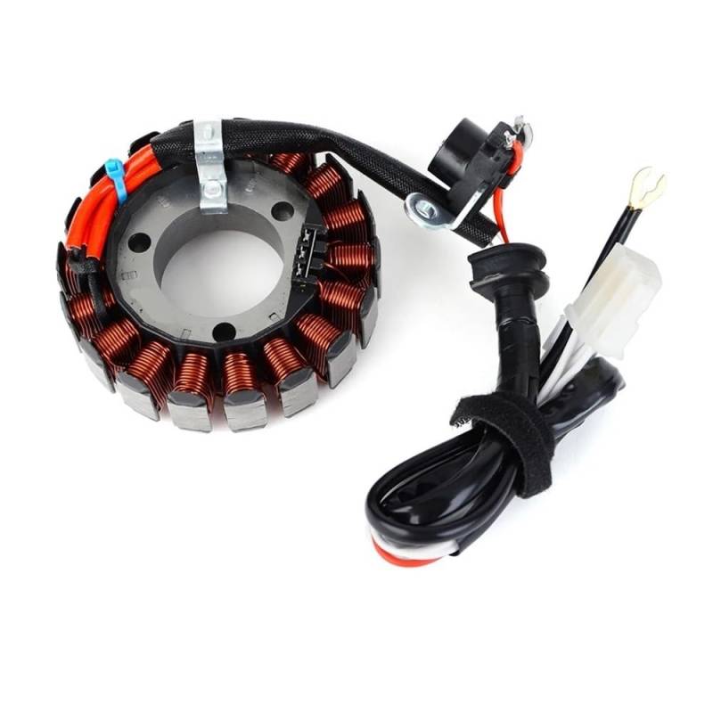 Kompatibel Motorrad Zündung Magneto Stator Spule Kompatibel mit YBR125ED 3D9 2008-2014 YBR 125ED 51D YB125 YB 125 YB125SPD 2008 3D9-H1410-10 von eRgDFS