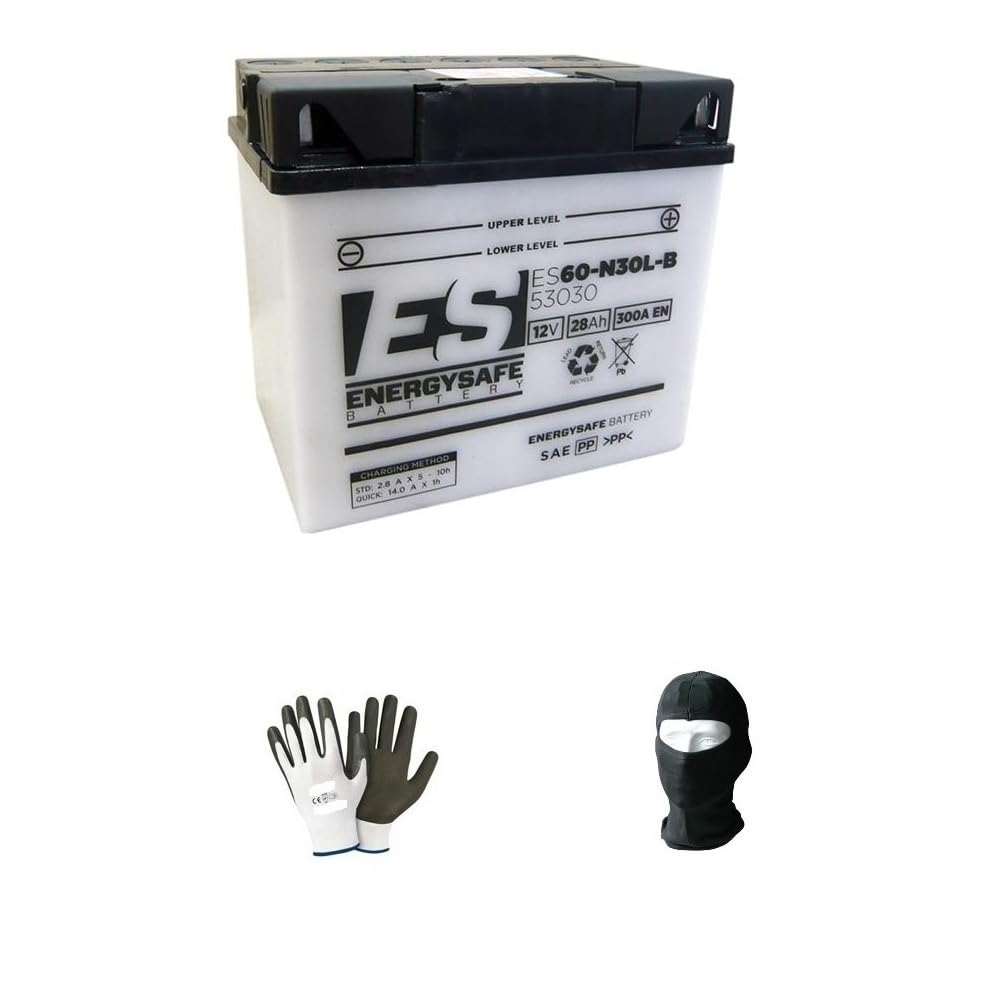 KOMPATIBEL MIT BMW R 75/7 R 75/7 750 1976 A 1977 ENERGIESICHERE Batterie, BEREIT ZUM EINBAU 53030 12V/30AH (ES60-N30-LA), Start des MOTORRADMOTORS von farbrothersonline