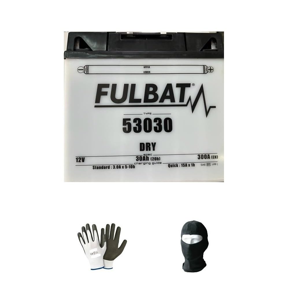 KOMPATIBEL MIT BMW R 80 RT (1DISCS) R 80 RT 800 1985-1995 FULBAT-Batterie BEREITS BEREIT 53030 12V/30AH SPEZIFISCHE BATTERIEN FÜR Motorrad-Starter von farbrothersonline