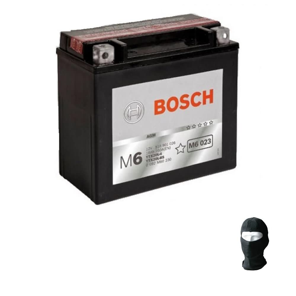 KOMPATIBEL MIT Harley Davidson FXBR Breakout 1745 2018-2019 Bosch YTX20L-BS Batterie(KOMPLETT WASSERDICHT UND MONTAGEBEREIT) 12V/18A BATTERIEN FÜR MOTORRÄDER 175X87X155 CCA250A von farbrothersonline