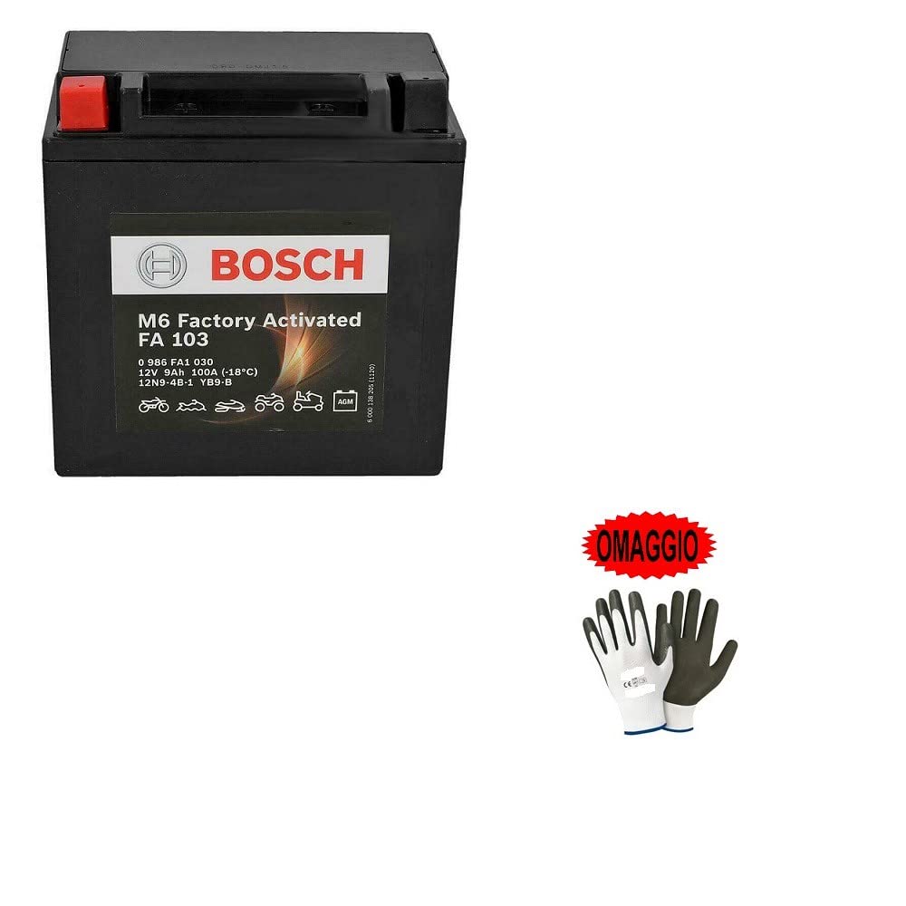 Kompatibel mit Piaggio X9 Evolution (M23000/M2300035) 125 2003 A 2006 Batterie bereits gebrauchsfertig geladen Bosch YB9-B 9 Ah Batterien 12 Volt 136 x 76 x 34 mm von farbrothersonline