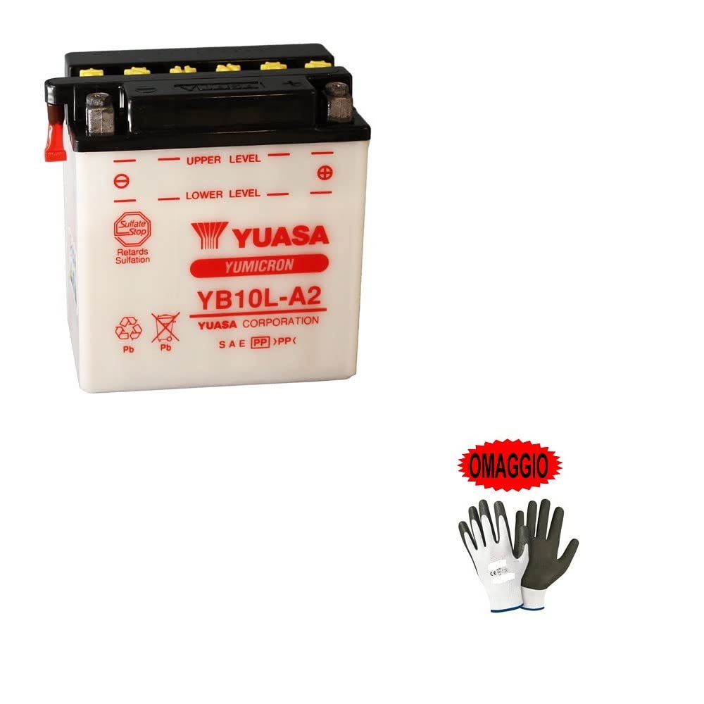 kompatibel für Yamaha XV Virago/Route 66 250 von 1988 bis 1990 Batterie Yuasa YB10L-A2 Batterien 11 Ampere 12 V 135 x 90 x 145 mm von farbrothersonline