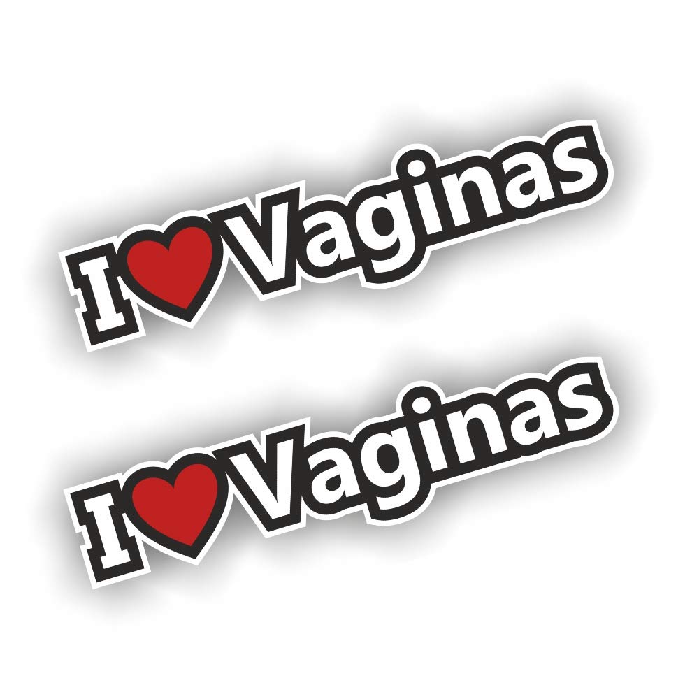 folien-zentrum 2X I Love Vaginas 19,5x4,5cm Auto Aufkleber Sticker Decal Shocker JDM Tuning Milf Sushi Herz Spruch Stickerbomb Bombing Fun von folien-zentrum