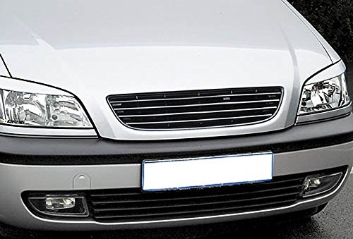 Kühler- Sport- Front- Rippen- Grill ohne Emblem Schwarz Eintragungsfrei von goingfast