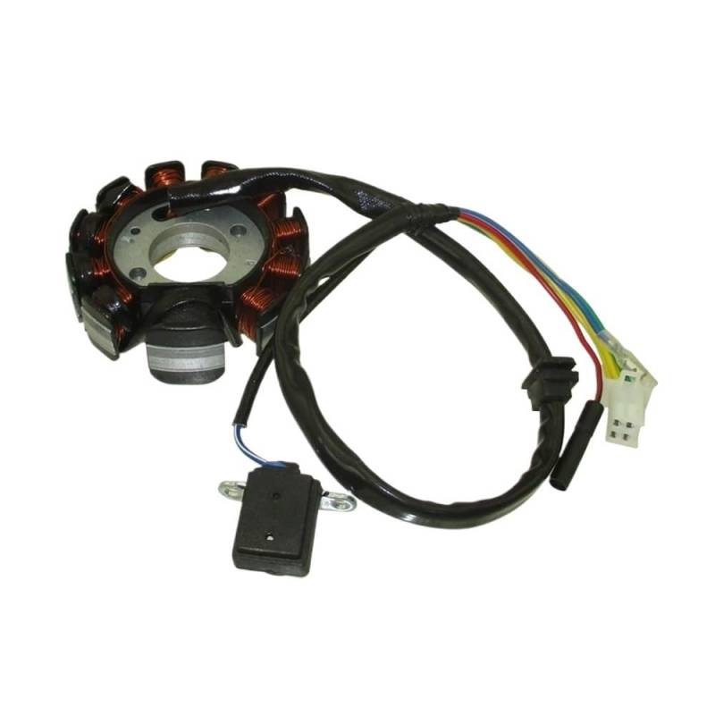 Motorrad Stator 11 Spulen Zündung Stator Magneto Für ATV Quad 125cc 150cc Statorspule von hgudyr