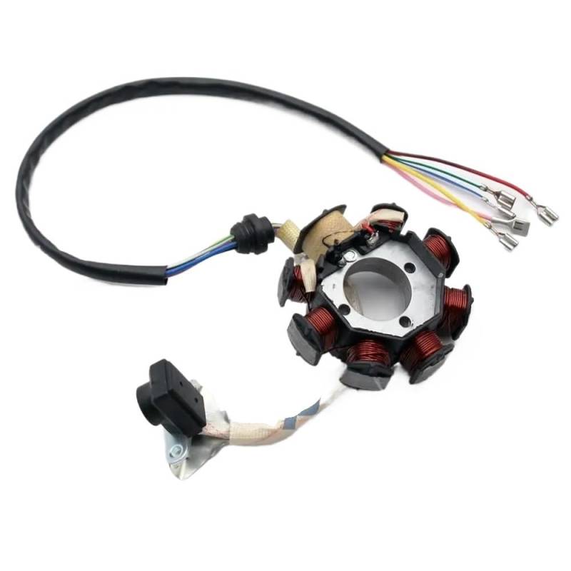 Motorrad Stator 8 Pol Magneto Schwungrad Stator Für CG 150cc 200cc 250cc Motor Pit Quad Dirt Bike ATV Go Kart Statorspule von hgudyr