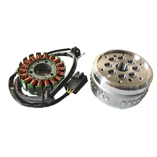 Motorrad Stator Für CF&Moto 250NK Motorrad Magneto Stator Spule Magneto Rotor Magnetische Zylinder Statorspule von hgudyr