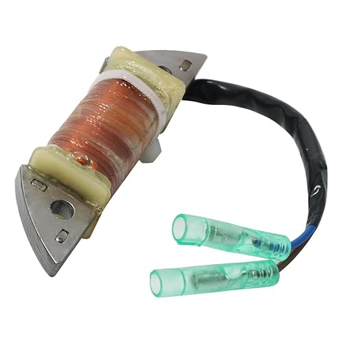 Motorrad Stator Motorrad Generator Magneto Stator Spule Für YA&MAHA 99 E9.9D MHS/L 2003 15HP E15D MHS/L/XL 2003 Statorspule von hgudyr