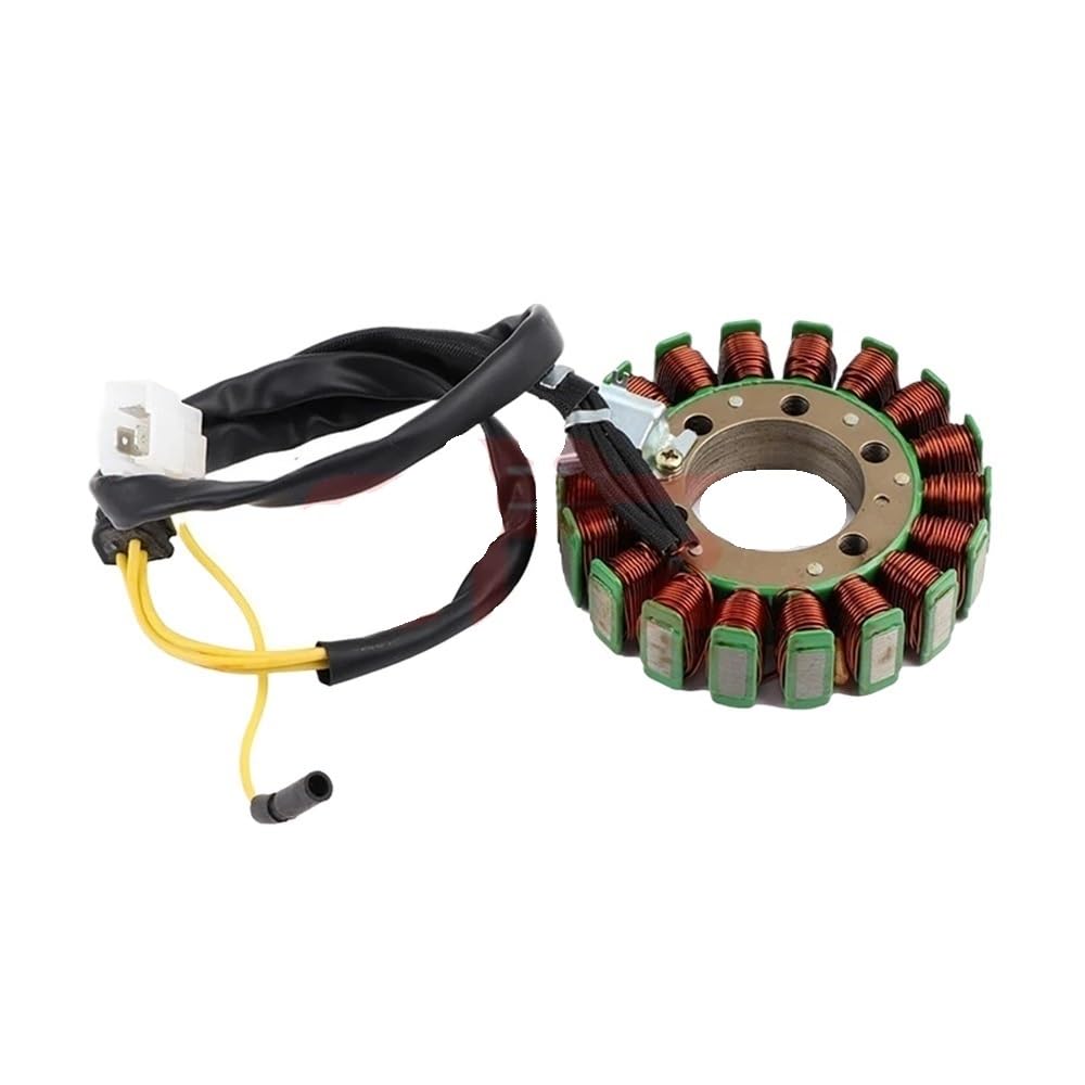 Motorrad Stator Motorrad Generator Stator Spule Für CF250-18 Scooter ATV CF250 Statorspule von hgudyr